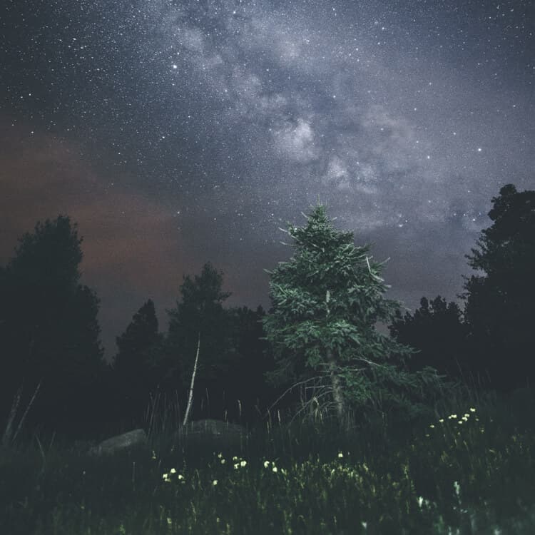 <p>Evening meditation</p>
