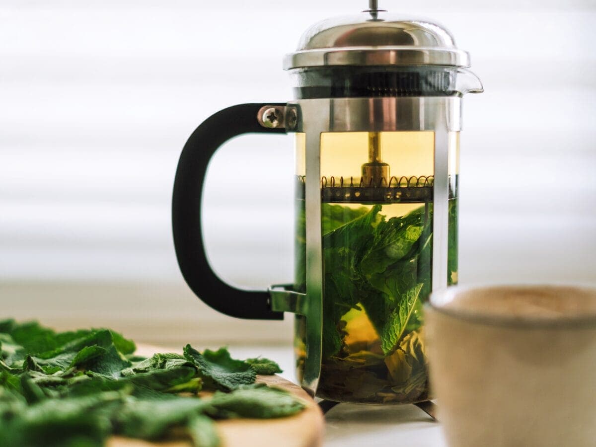 peppermint tea in a french press