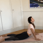 Full Body &#8211; Back &#038; Gut Health