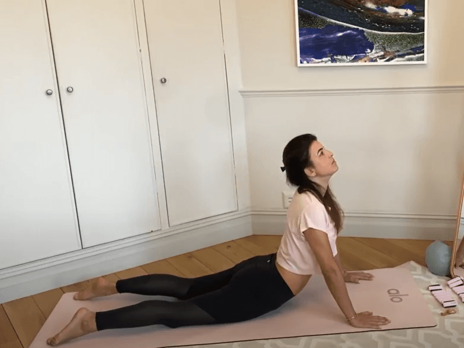 Full Body – Back & Gut Health