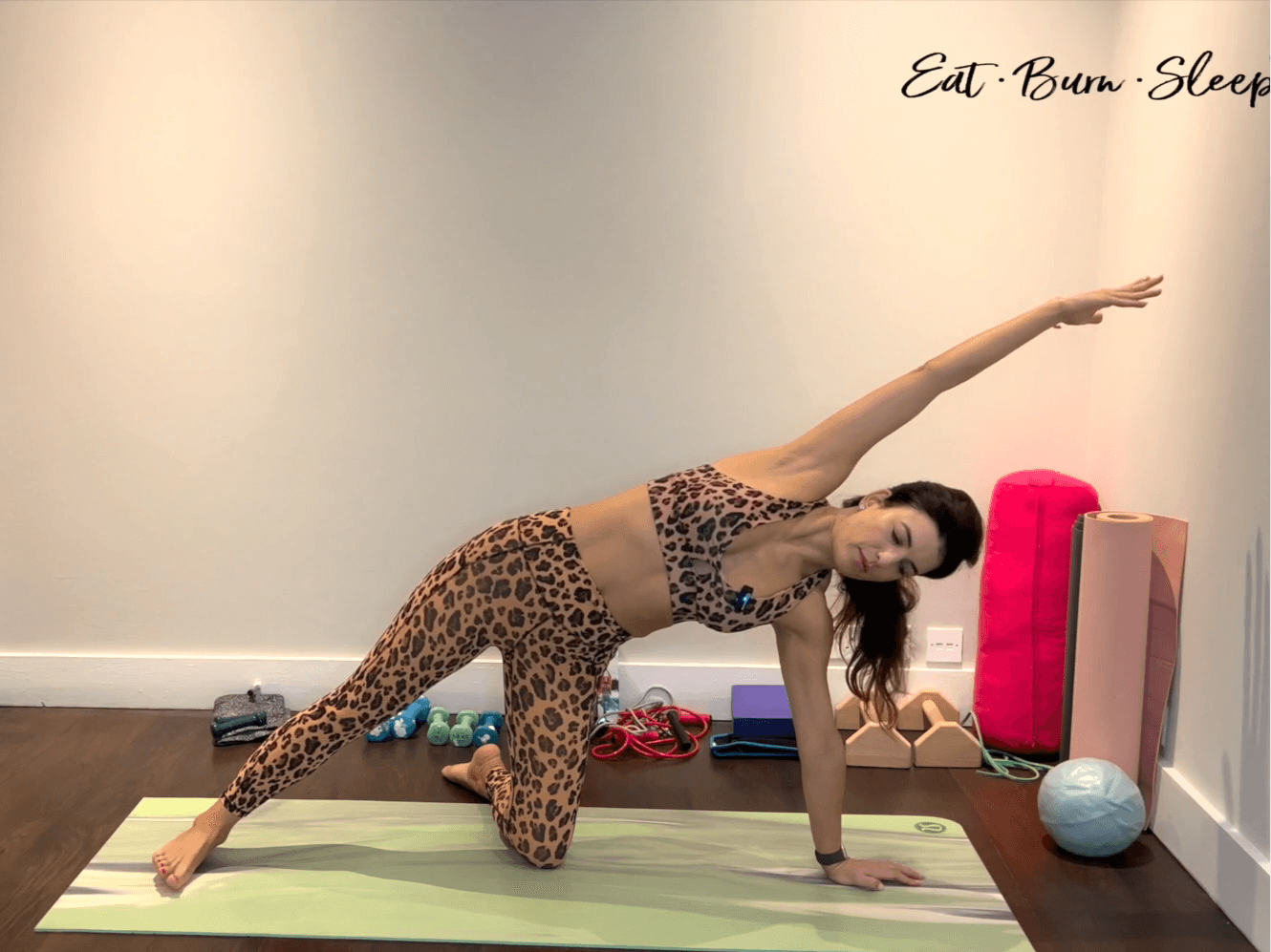 Full Body Plank
